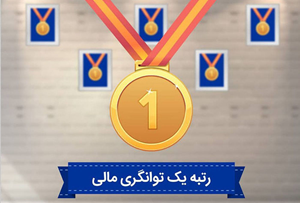 سطح توانگری مالی شرکت های بیمه ای در سایت بهینشو
